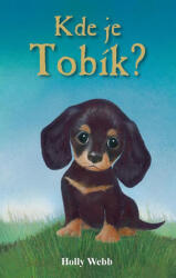 Unde e Tobik? (ISBN: 9788072115570)