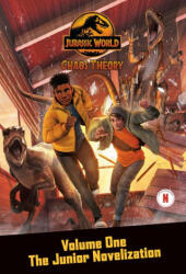 CHAOS THEORY V01 THE JUNIOR NOVELIZATION - BEHLING STEVE (2024)