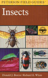 Field Guide to Insects - Donald J. Borror, Richard E. White (ISBN: 9780395911709)