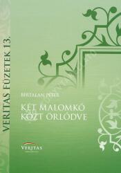 Két malomkő közt őrlődve (ISBN: 9789635410552)