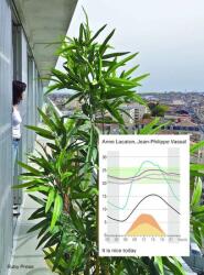 Lacaton & Vassal: It's Nice Today (ISBN: 9783944074375)