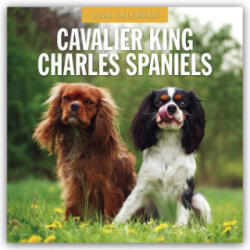 Cavalier King Charles Spaniels 2026 Square Wall Calendar (2025)