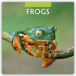 Frogs 2026 Square Wall Calendar (2025)