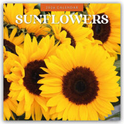 Sunflowers 2026 Square Wall Calendar (2025)