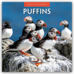 Puffins 2026 Square Wall Calendar (2025)