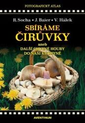 Sbíráme čirůvky a další chutné houby do naší kuchyně (2025)