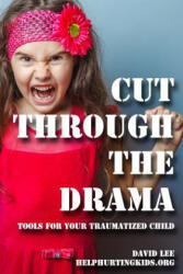 cut through the drama: tools for your traumatized child - David Lee (ISBN: 9781517300845)