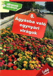 Ágyásba való egynyári virágok (2013)