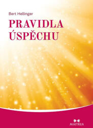 Pravidla úspěchu (2013)