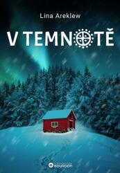 V temnotě (2025)