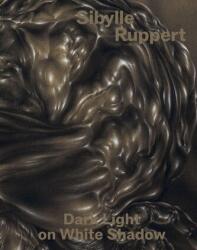 Dark Light on White Shadow (ISBN: 9783954767809)