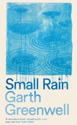 Small Rain (2024)