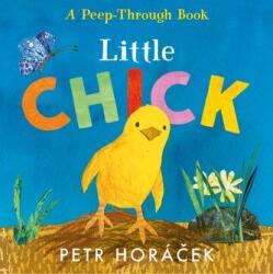 Little Chick (2024)
