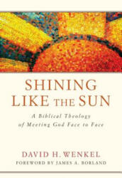 Shining Like the Sun - David H. Wenkel (ISBN: 9781941337523)