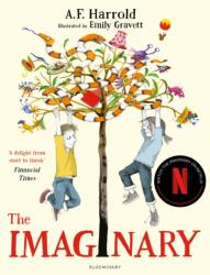 The Imaginary (ISBN: 9781408850169)