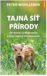 Tajná síť přírody - Jak stromy vyrábějí mraky a žížaly regulují divoká prasata (ISBN: 9788090681965)