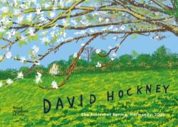 David Hockney (ISBN: 9781912520640)