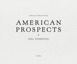 American Prospects - Joel Sternfeld (ISBN: 9783969991398)