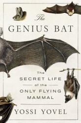 The Genius Bat - YOVEL YOSSI (ISBN: 9781250378446)