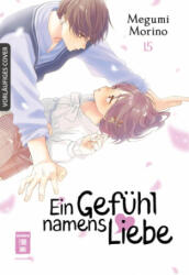 Ein Gefühl namens Liebe 15 - Yayoi Okada-Willmann (ISBN: 9783755504191)