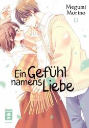 Ein Gefühl namens Liebe 13 (ISBN: 9783755502357)