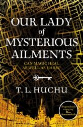 Our Lady of Mysterious Ailments (ISBN: 9781529039542)