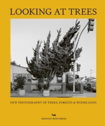 Looking At Trees (2023)