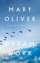 DREAM WORK - OLIVER MARY (2024)