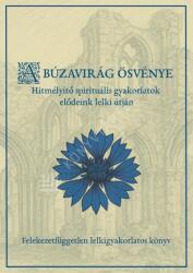 A búzavirág ösvénye (2025)
