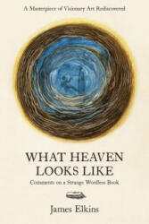 What Heaven Looks Like - James Elkins (ISBN: 9781946053022)