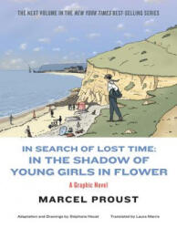 In Search of Lost Time - Marcel Proust, Stephane Heuet, Arthur Goldhammer (ISBN: 9781631493676)