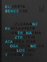Nepatrná ztráta osamělosti (ISBN: 9788074704918)