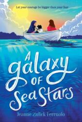 A Galaxy of Sea Stars - FERRUOLO JEANNE ZULICK (ISBN: 9781250763266)