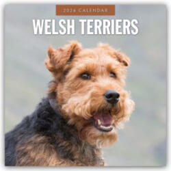 Welsh Terriers 2026 Square Wall Calendar (2025)