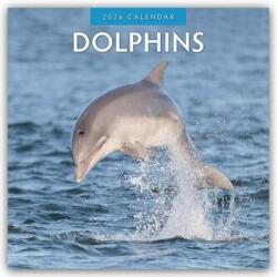Dolphins - Delfine 2026 - 16-Monatskalender (2025)
