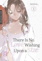 There Is No Love Wishing Upon a Star 01 (ISBN: 9783755505327)