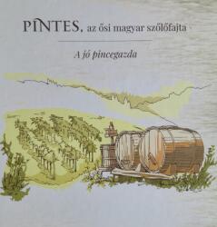 Pintes, az ősi magyar szőlőfajta (2025)