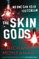 Skin Gods - Richard Montanari (ISBN: 9780099486893)