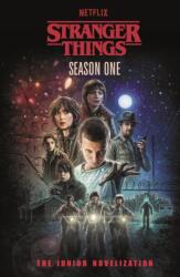 Stranger Things: Season One (ISBN: 9780241806746)