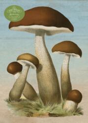 John Derian Paper Goods: Mushrooms 1, 000-Piece Puzzle (2025)