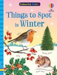 Things to Spot in Winter (ISBN: 9781835401224)