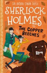 Copper Beeches (ISBN: 9781782264217)