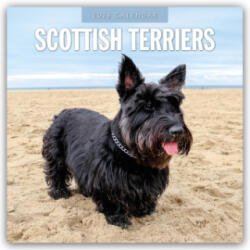 Scottish Terriers 2026 Square Wall Calendar (2025)