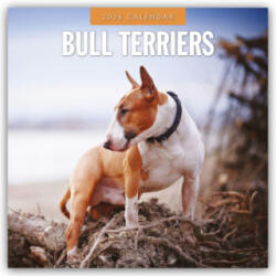 Bull Terriers 2026 Square Wall Calendar (2025)