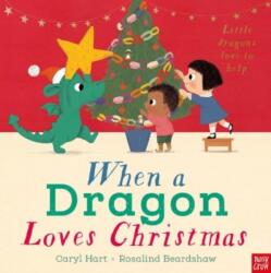 When a Dragon Loves Christmas (ISBN: 9781839948640)