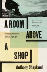 A Room Above a Shop (ISBN: 9781803511627)