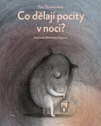 Ce fac sentimentele noaptea? (ISBN: 9788027520671)