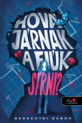 Hová járnak a fiúk sírni? (2025)