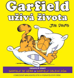 Garfield se bucură de viață (2011)