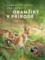 Okamžiky v přírodě - Objevte přírodu, která začíná hned za vašimi dveřmi (2025)